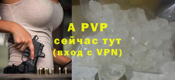 СК Касимов