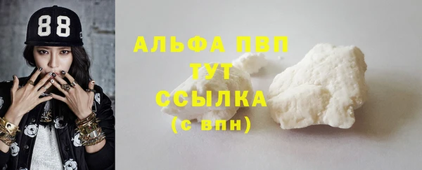 спиды Каменск-Шахтинский