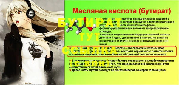 spice Каменка