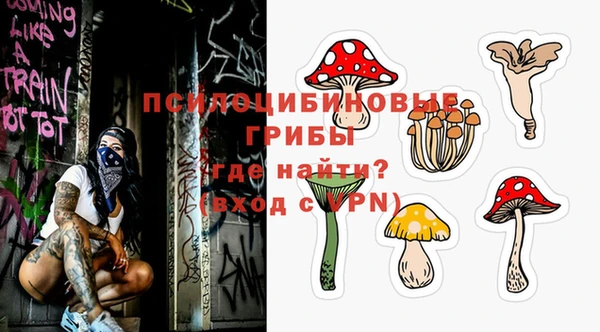 мдма Каменногорск