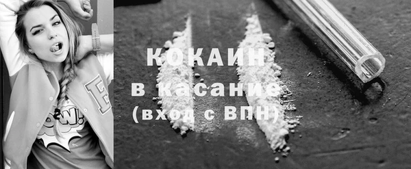 spice Каменка