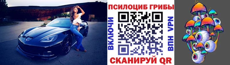 Купить  Каргополь  Галлюциногенные грибы прущие грибы 